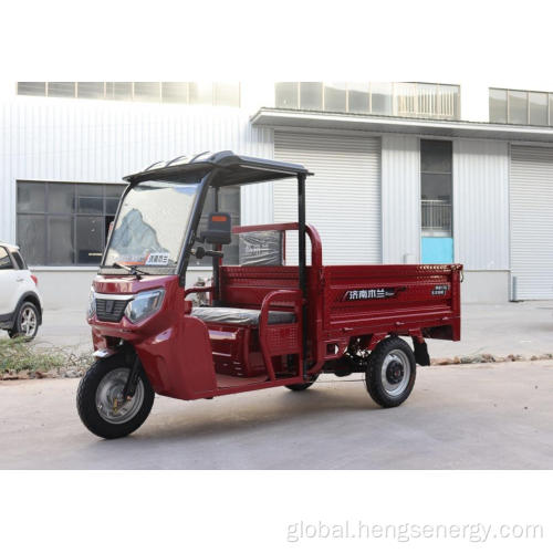 Mini Single Seat Electrico Electric Adult Tricycle